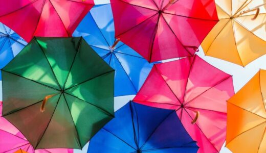 【マツコの知らない世界】日傘の世界！紹介された日傘をまとめ
